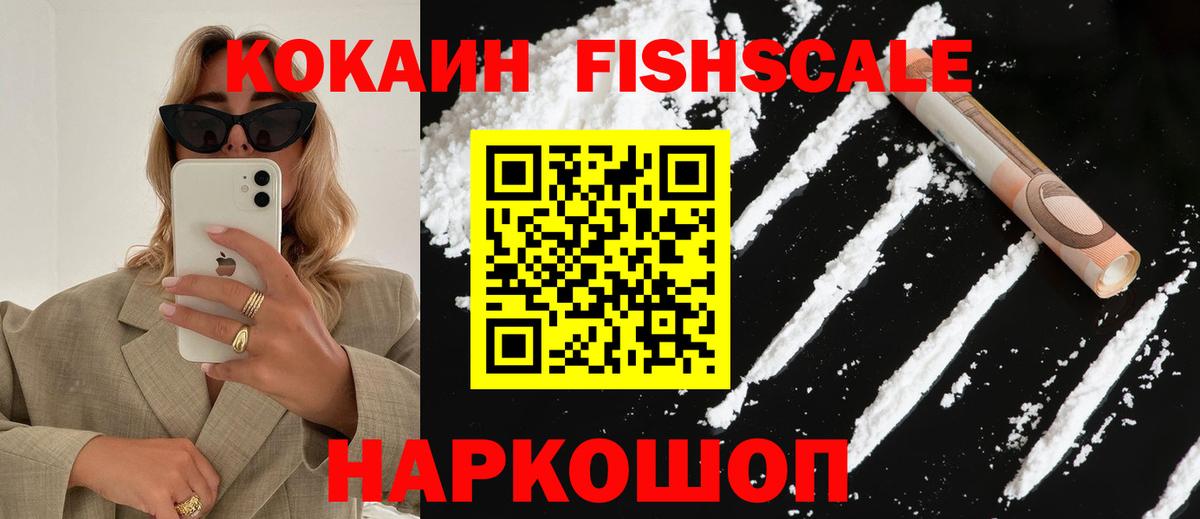 COCAIN Fish Scale  Вход с VPN  Заволжье  COCAIN FishScale 